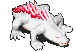 117071.gif
