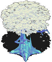 forum222.gif
